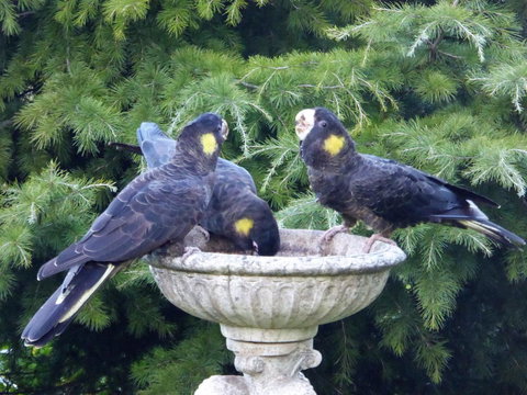 Tamar River Retreat - Accommodation Gold Coast 37