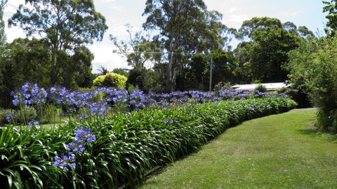 Tamar River Retreat - Accommodation Gold Coast 11