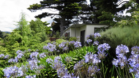 Tamar River Retreat - Accommodation Gold Coast 28