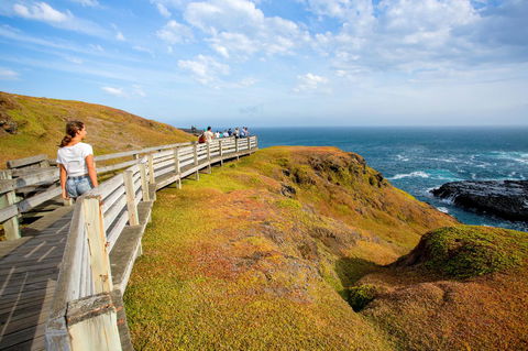 BIG4 Ingenia Holidays Phillip Island - Accommodation Gold Coast 19