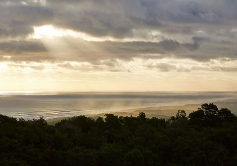 RACV Cape Schanck Resort - Accommodation Gold Coast 6