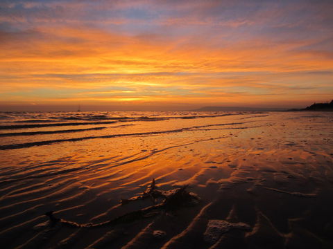 Boathouse Resort Studios And Suites - Accommodation Gold Coast 14