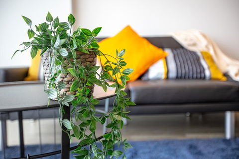 Brand New One/Two - Bed Room Apartment @ Maribyrnong - Accommodation Gold Coast 0
