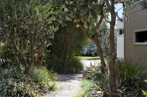 BIG4 Ingenia Holidays Queenscliff Beacon - Accommodation Gold Coast 13