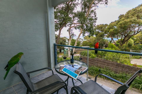 Lorne Surf Apartments - Gold Coast 4U 21