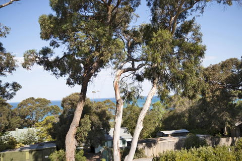 Lorne Surf Apartments - Gold Coast 4U 6