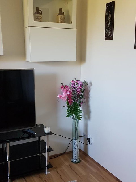 Romsey Homestay - Accommodation Gold Coast 8