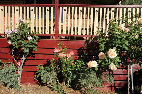 Oxford Rise Apartment - Accommodation Gold Coast 21