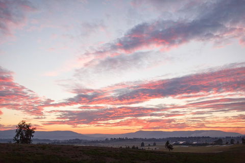 Yering Gorge Cottages - Gold Coast 4U 2