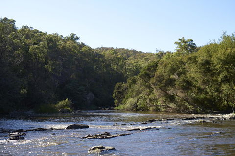 Yering Gorge Cottages - Gold Coast 4U 21
