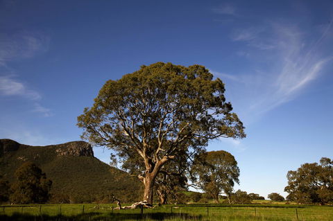 Dunkeld Studio Accommodation - Accommodation Gold Coast 23