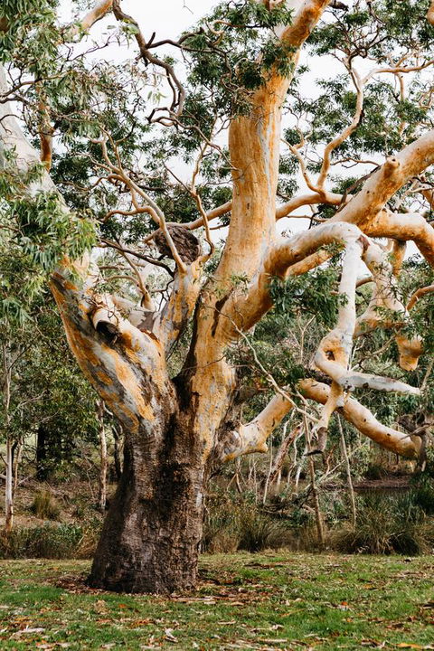 Dunkeld Studio Accommodation - Accommodation Gold Coast 22