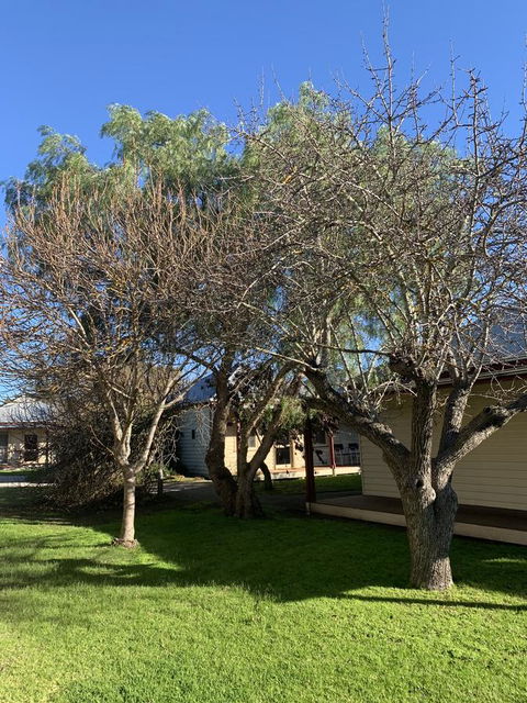 Dunkeld Studio Accommodation - Accommodation Gold Coast 4