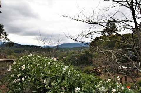 Hamptons In Healesville - Accommodation Gold Coast 13