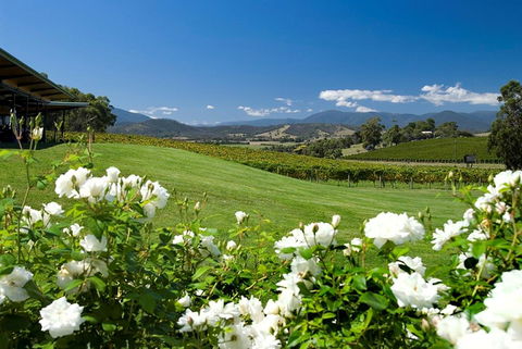 Balgownie Estate Yarra Valley - Accommodation Gold Coast 36