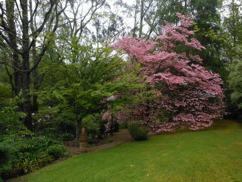 Merrimeet Cottages - Accommodation Gold Coast 23