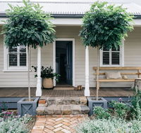 Acre of Roses - Accommodation Gold Coast