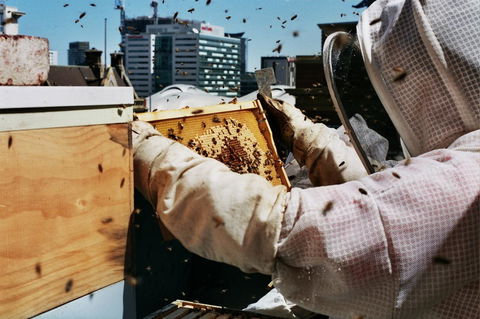 Alto Hotel On Bourke - Accommodation Gold Coast 14