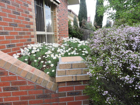 Monash And Chadstone WiFi - Accommodation Gold Coast 3