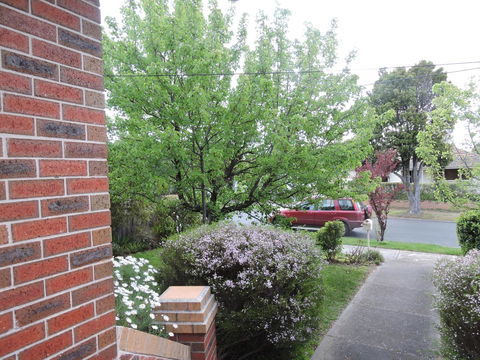Monash And Chadstone WiFi - Accommodation Gold Coast 2