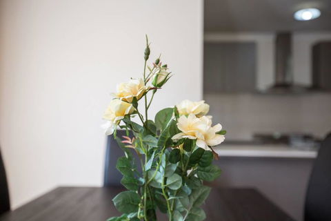 Holiday Rose - Gold Coast 4U 8
