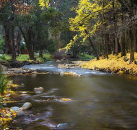 Goldfield Holiday Units - Accommodation Gold Coast
