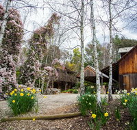 Lothlorien - Accommodation Gold Coast