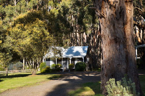 Bodhi Daylesford - Accommodation Gold Coast 8