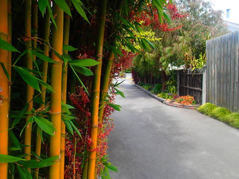 Azen Haven - 1 Gold Coast 14