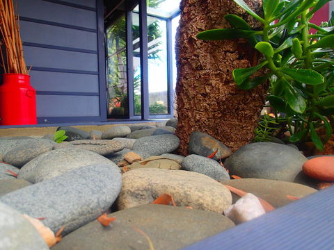 Azen Haven - 1 Gold Coast 11