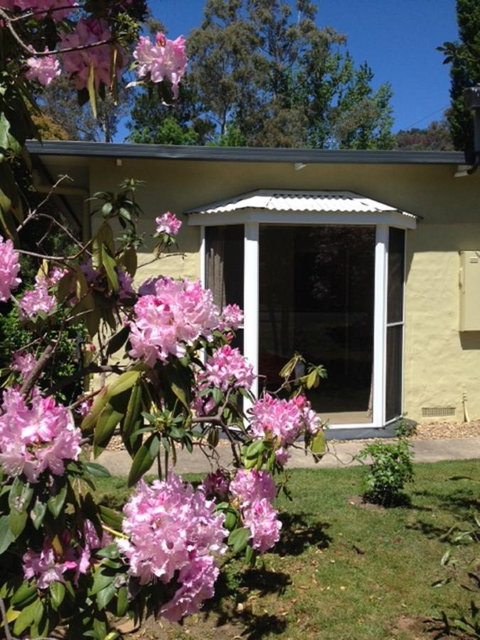 On The Banks - 1 Gold Coast 20