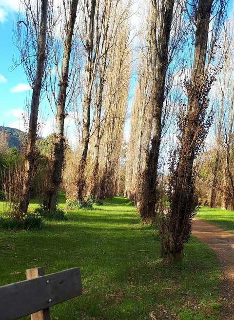 On The Banks - 1 Gold Coast 11