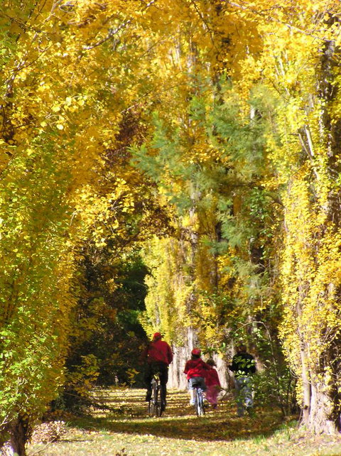 On The Banks - 1 Gold Coast 15