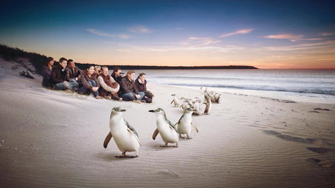 C-Scape Water Front Apartment - Accommodation Gold Coast 16