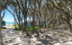 Fairhills - NEW LISTING, Beautifully Styled - thumb 12