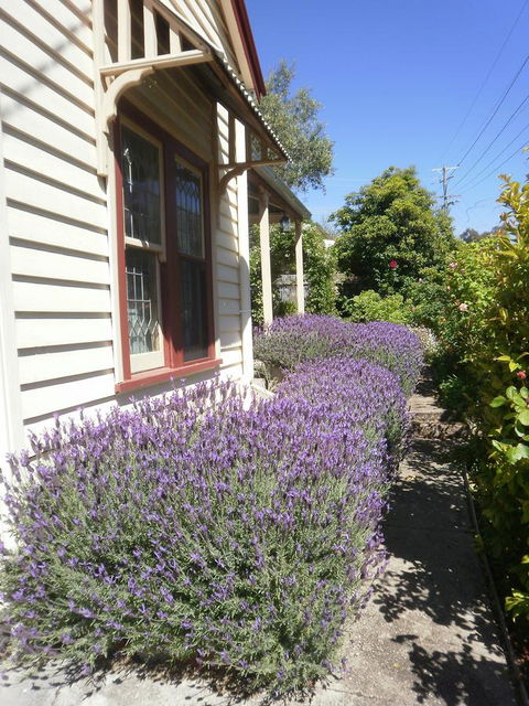 Miss Pym's Cottage - Gold Coast 4U 44