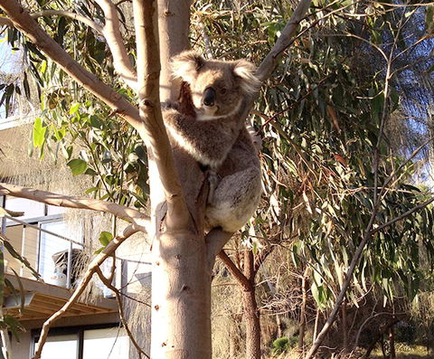 Apollos View Accommodation - Accommodation Gold Coast 22