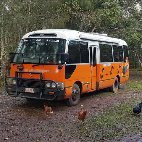 The Cabin - Accommodation Gold Coast 3