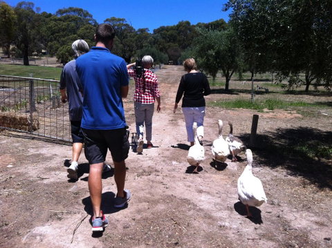 The Farm Willunga - Accommodation Gold Coast 1