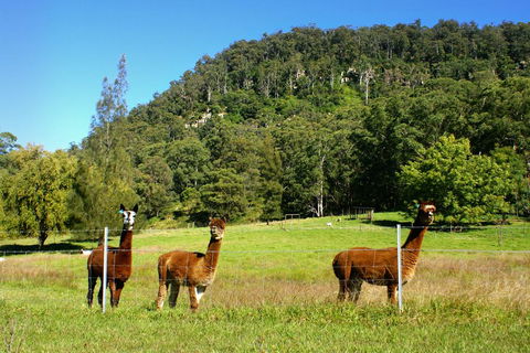 The Heavens Mountain Escape - Accommodation Gold Coast 2