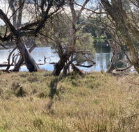 The Lake House - Accommodation Gold Coast