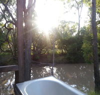 The Laurels of Chinchilla