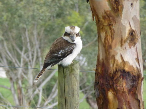 The Little House On The Hill - Accommodation Gold Coast 1