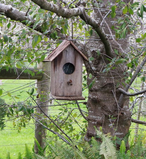 The Little House On The Hill - Accommodation Gold Coast 3