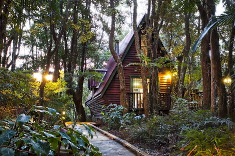 The Mouses House Rainforest Retreat - Accommodation Gold Coast 1