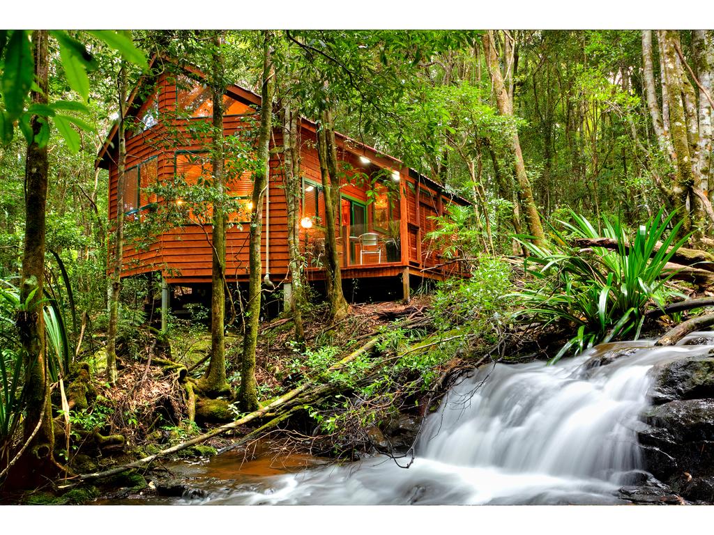 Springbrook QLD Accommodation Gold Coast