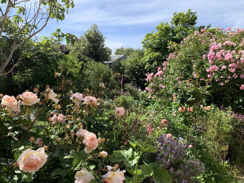 The Racecourse Inn - Accommodation Gold Coast 2