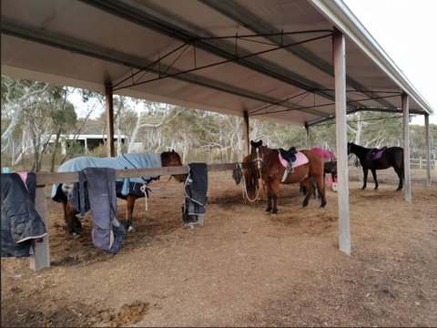 The Saddle Camp Tiny House, Braidwood - Accommodation Gold Coast 1