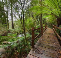The Source Otways - Accommodation Gold Coast