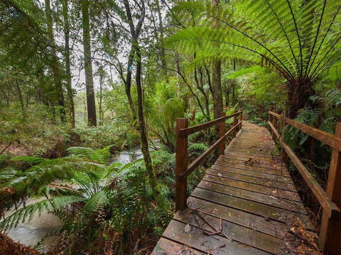 The Source, Otways - Accommodation Gold Coast 0